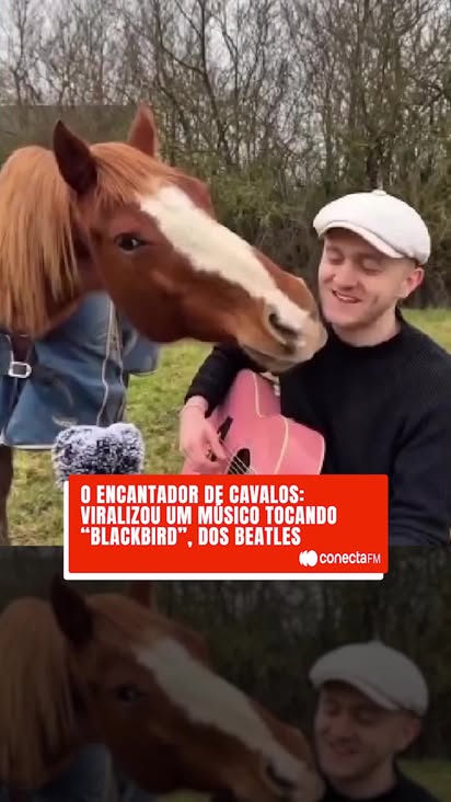 Que momento mágico! ✨

Um músico resolveu tocar o clássico "Blackbird" dos Beatles em um campo aberto e teve uma surpresa encantadora: alguns cavalos foram se aproximando, passo a passo, como se a melodia os tivesse chamado! 🥺

A cena, que viralizou e derreteu corações, mostra os animais em um silêncio quase reverente, provando que a boa música realmente não tem barreiras. Como disseram nas redes: eles simplesmente "ficaram no modo plateia"! 🤩

Parece que a beleza e a suavidade de "Blackbird" são universais! Quem mais queria ter assistido a esse show particular?

📹: Reprodução

#conectafm #blackbird #cavalo